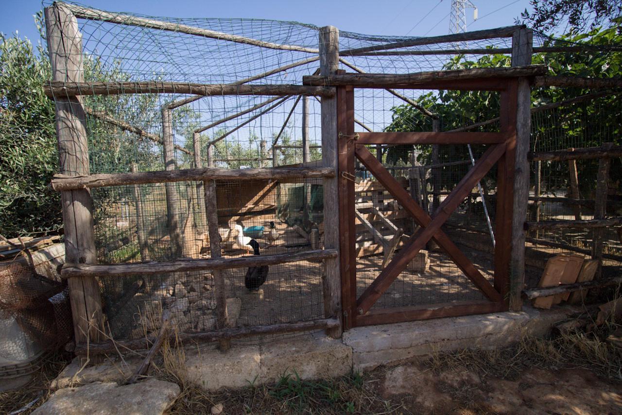 Bed & Breakfast Biancolivo In Salento Gallipoli