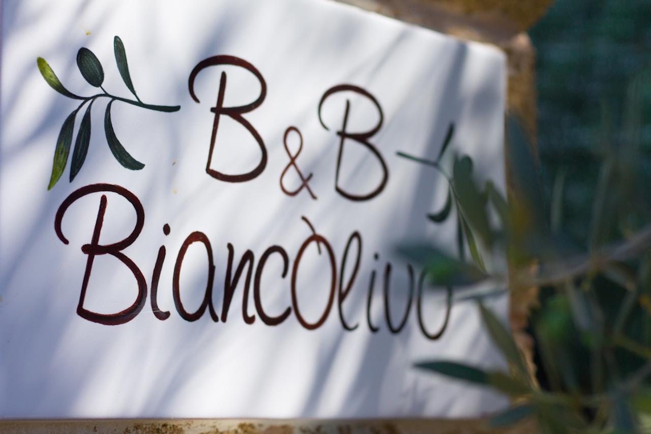 Biancolivo In Salento Gallipoli